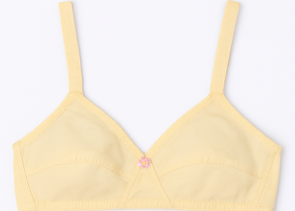 Pack of 3 Cotton Sada Bra  – Mehroon, Black & Skin Color